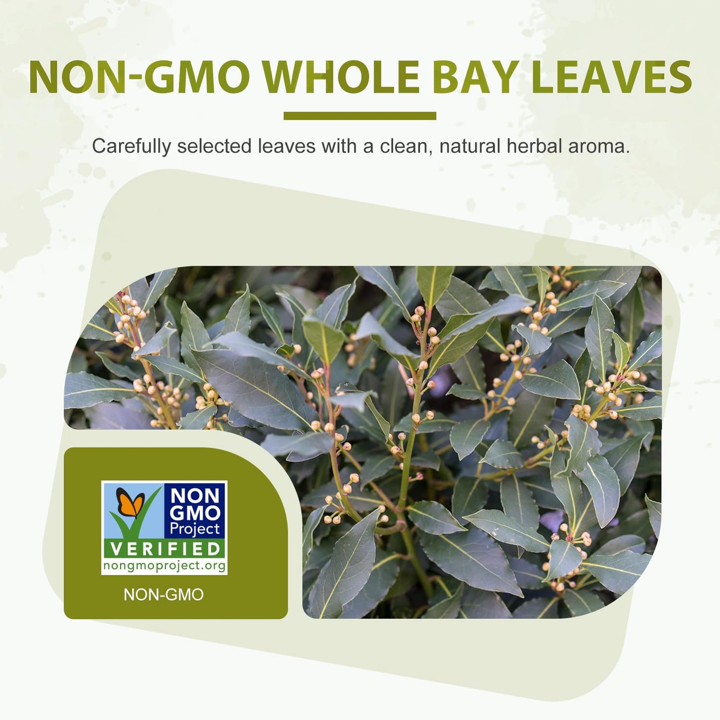 Soeos Whole Dried Bay Leaves, Non-GMO Verified, Laurel Herbs for Cooking and Seasoning, 2oz (57g)