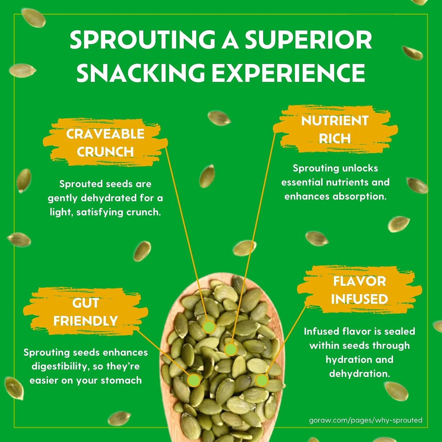 Go Raw Organic Sprouted Pumpkin Seeds, 14 Oz, Non-GMO, Gluten-Free, Vegan, Nut-Free, Protein-Rich Snack