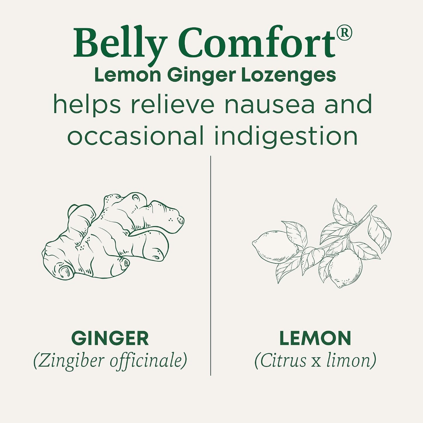 Traditional Medicinals Organic Belly Comfort Lozenges Lemon Ginger