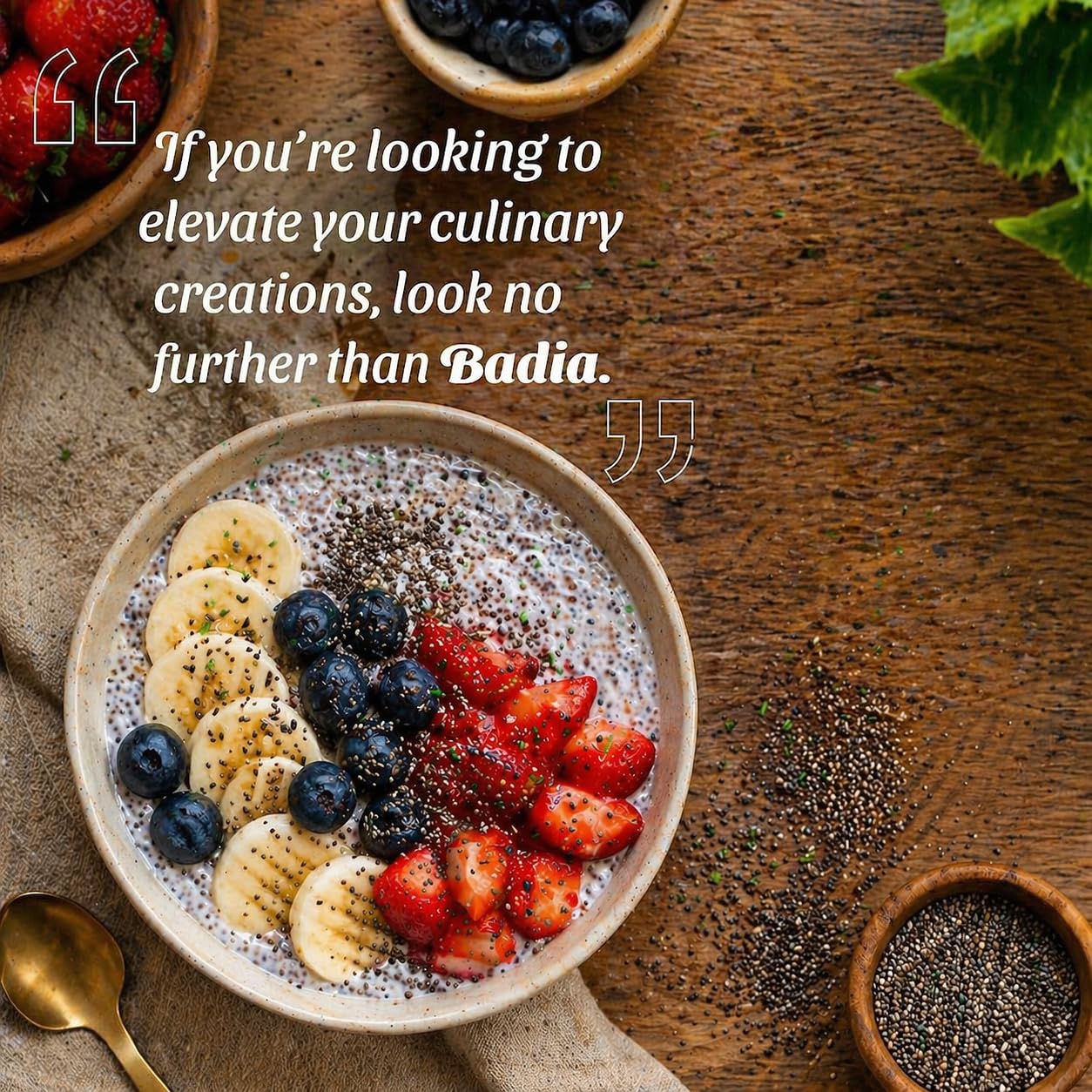 Badia Chia Seed, 22 oz - High Fiber, Omega-3, Protein, Energy Boost - Smoothies, Yogurt, Baking, Oatmeal