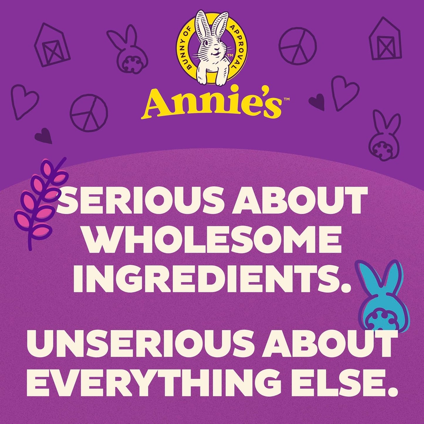 Annie's Organic Bunny Fruit Snacks Variety Pack Gluten Free Snack 22 ct 15.4 oz