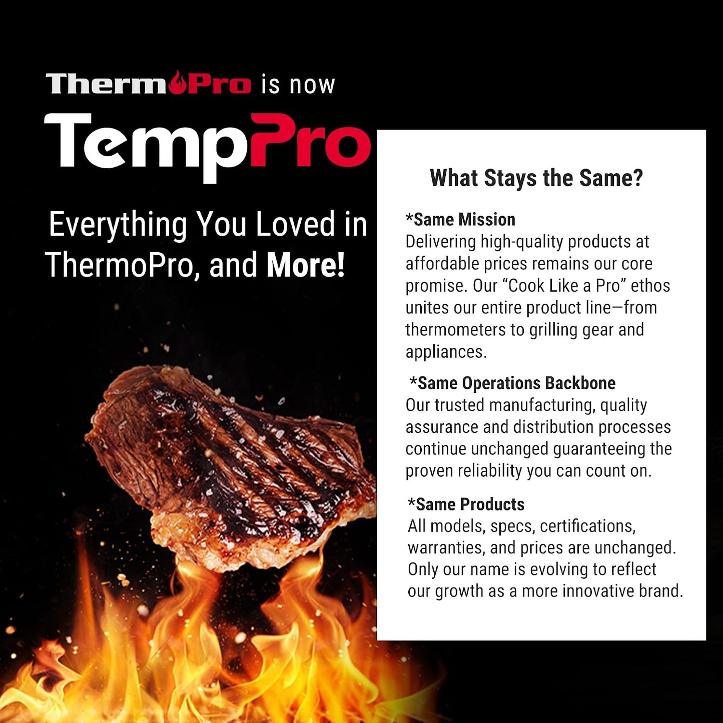 TempPro TP19H 1 Sec Digital Meat Thermometer for Cooking | Instant Read Food Thermometer with Motion Wake for BBQ Grill Oil Fry Candy, Gifts for Men Dad Husband (Previously ThermoPro)