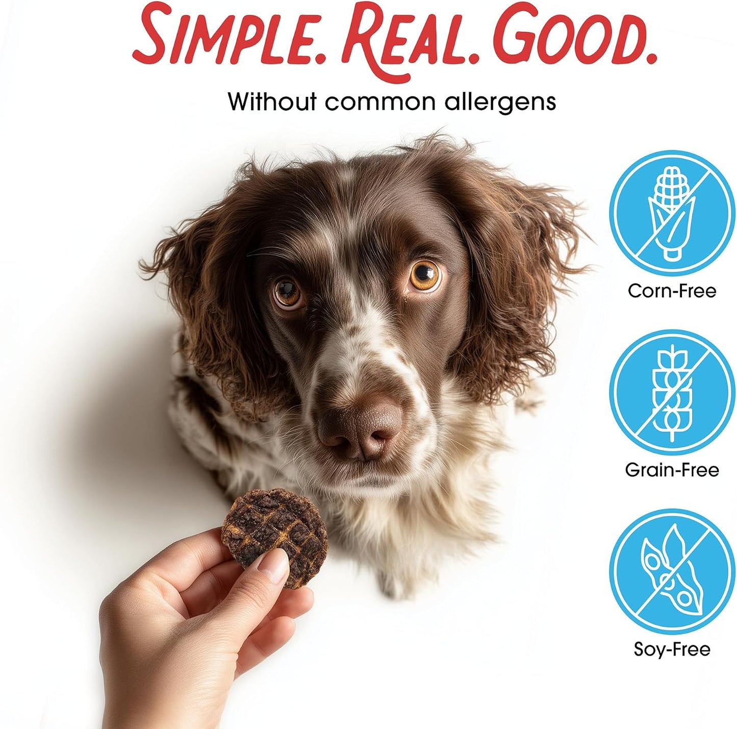 Farmland Traditions Beef Jerky Dog with 3 Ingredients and No Fillers