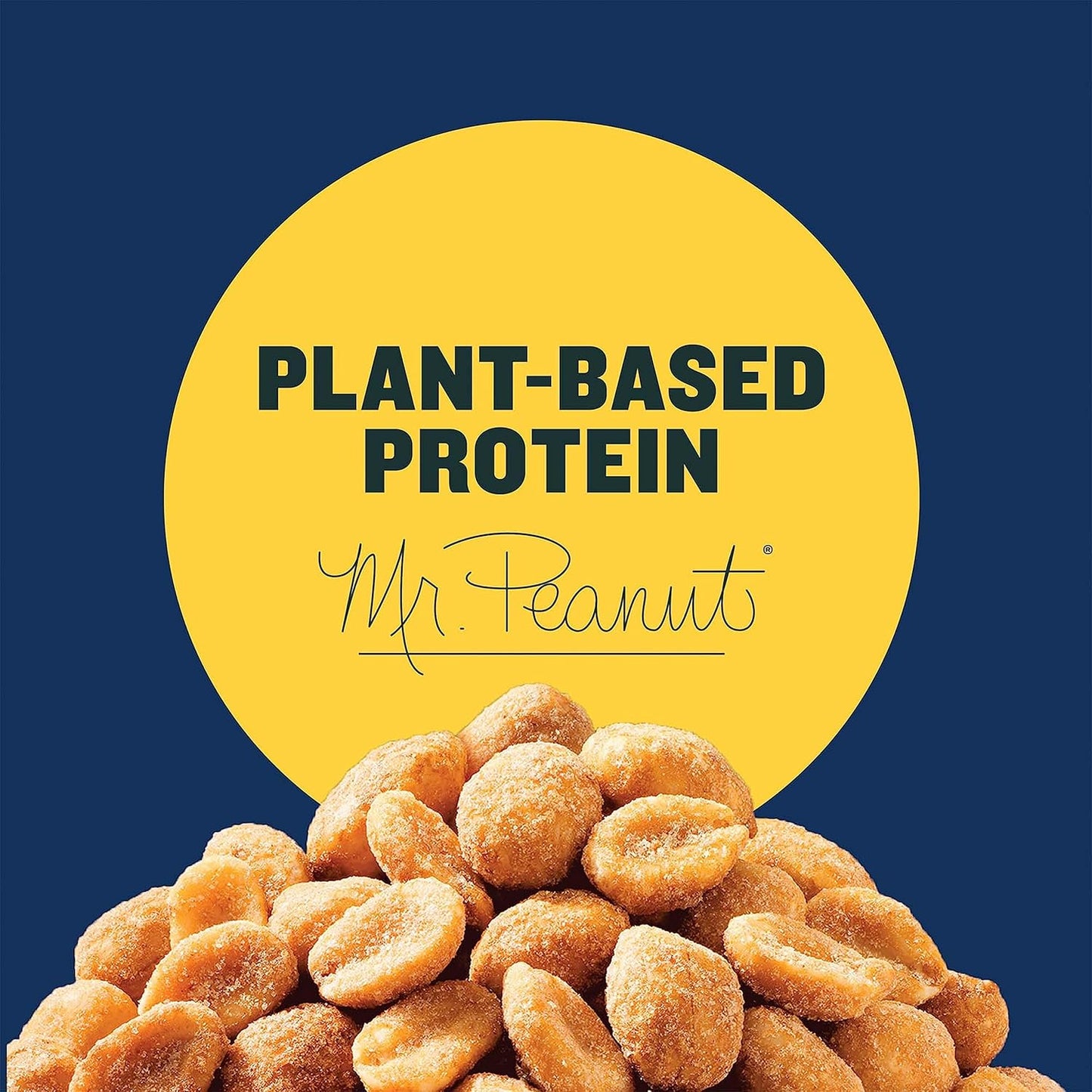 planters honey roasted peanuts 16oz jar dry roasted party snack plant-based protein kosher