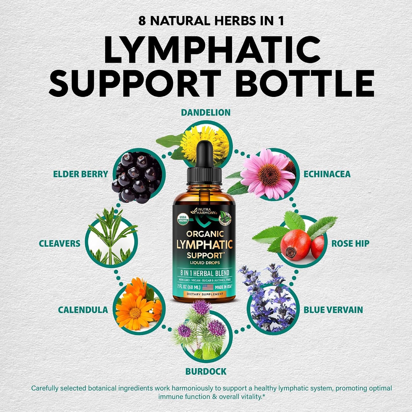 USDA Organic Lymphatic Drainage Supplement - Echinacea | Elderberry | Dandelion | Rosehip | Cleavers | Calendula | Burdock - Lab Tested - Lymph System Drops - Immune Support, Cleanse & Detox, 2 fl oz