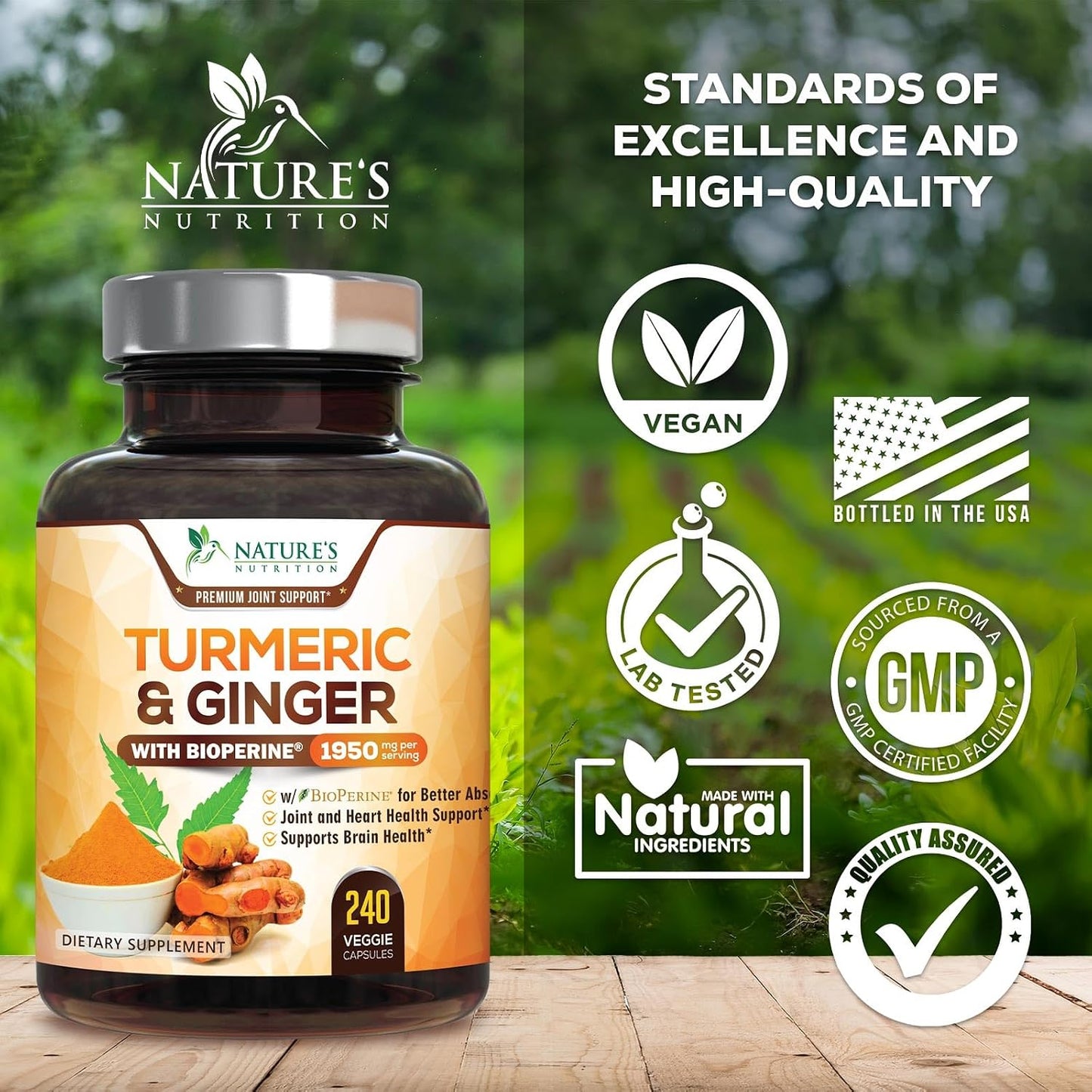 Turmeric Curcumin Supplement - 95% Curcuminoids with Organic Turmeric & Ginger, BioPerine Black Pepper Extract for Best Absorption, Natural Vegan Joint Support, Non-GMO, Bottled in USA - 240 Capsules