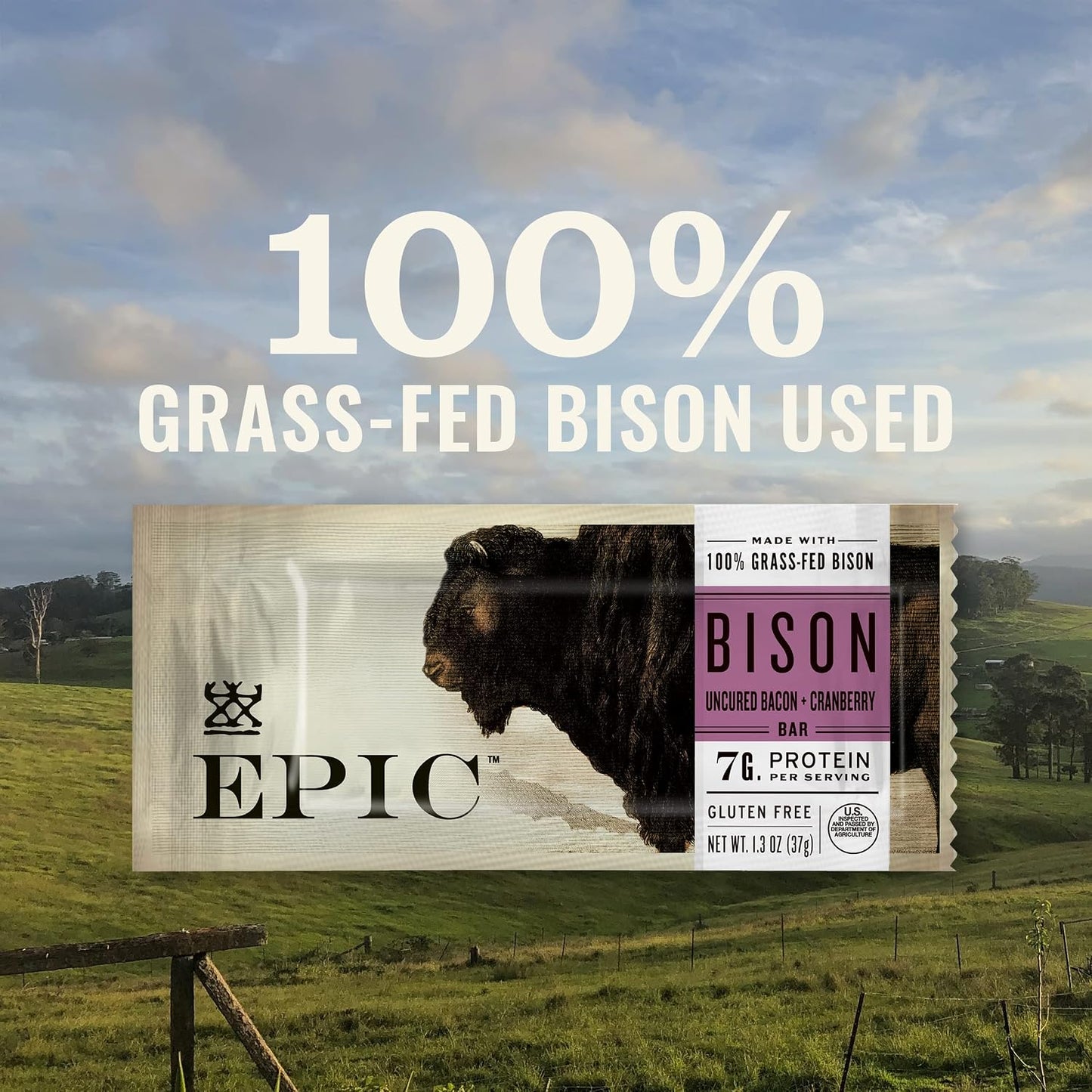 Grass-Fed Bison and Uncured Bacon Protein Bars, 12 Count, 15.6 oz Box