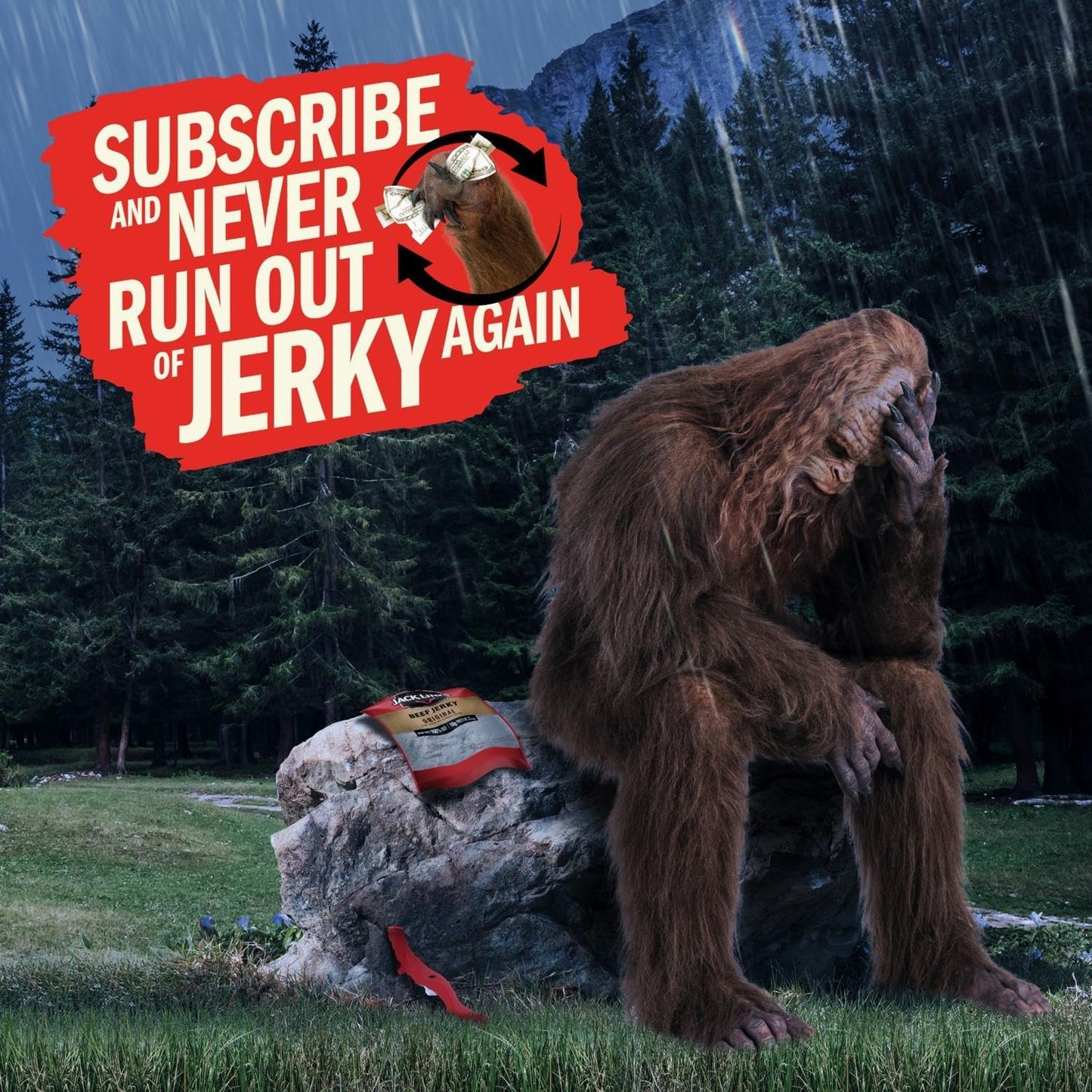 Jack Link's Beef Jerky Variety Pack with Original and Teriyaki Flavors