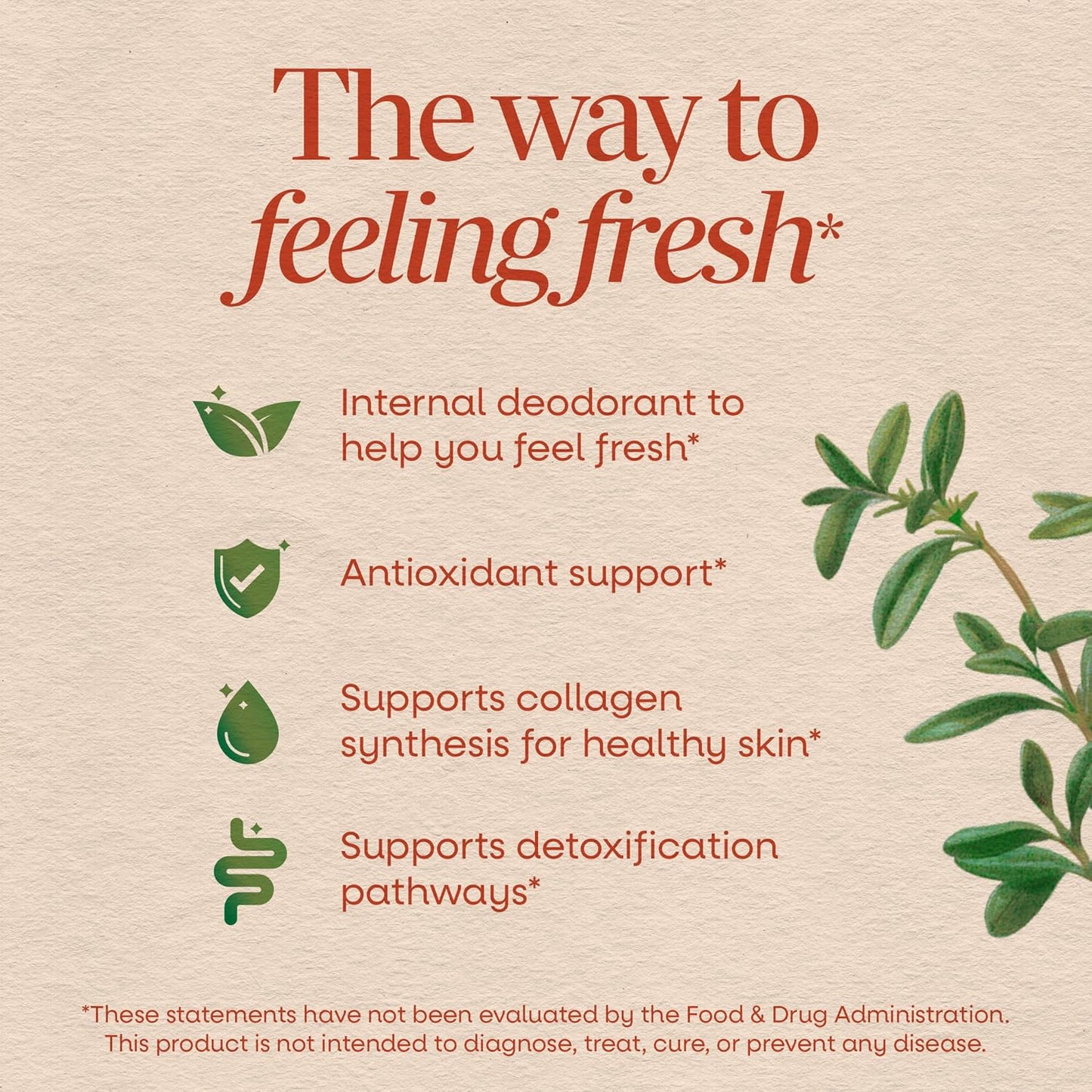 Nature's Way Chlorofresh Liquid Chlorophyll, Chlorophyllin Copper Complex, Internal Deodorant Supplement, Supports Healthy Skin and Detox Pathways*, Mint Flavored, 16 fl oz