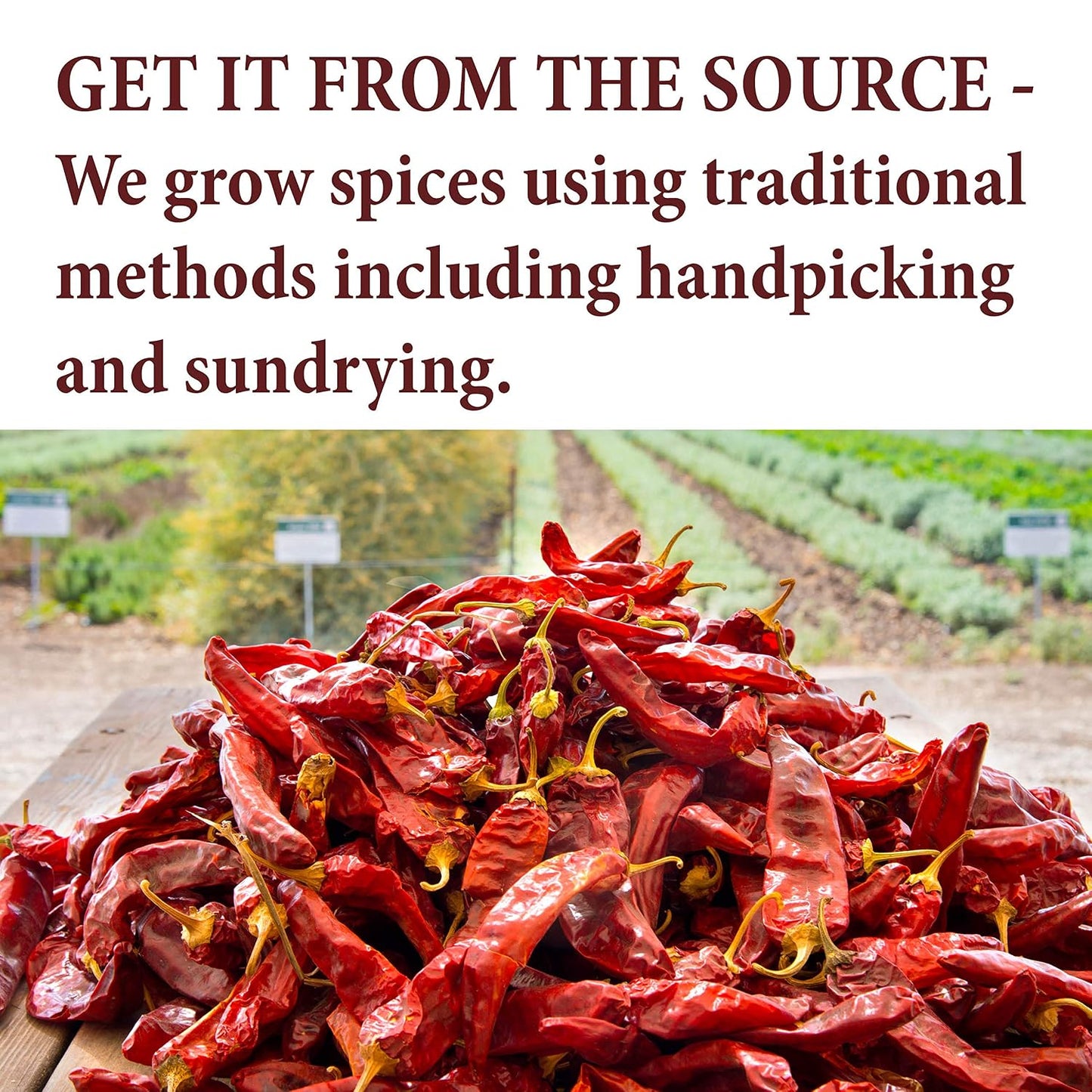 The Spice Way 100% Ground Sumac Spice No Salt GMO Irradiation Sumac Seasoning Powder 4 oz Resealable Bag