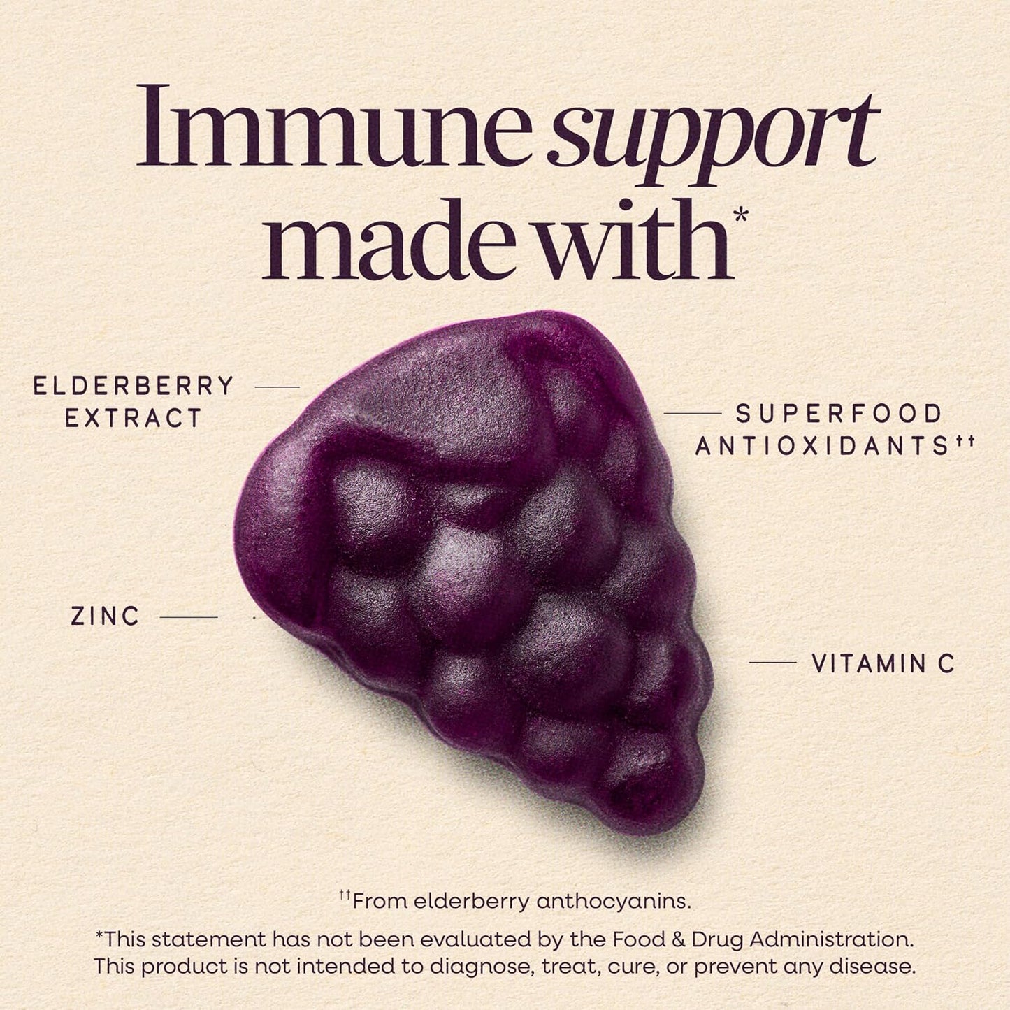 Nature's Way Sambucus Kids Elderberry Immune Gummies with Black Elderberry Extract, Daily Immune Support Gummy with Vitamin C and Zinc for Children Ages 2+*, 60 Gummies
